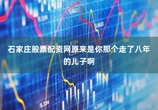 石家庄股票配资网原来是你那个走了八年的儿子啊
